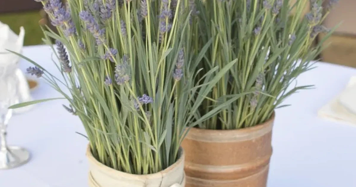 DIY Wedding Centerpieces