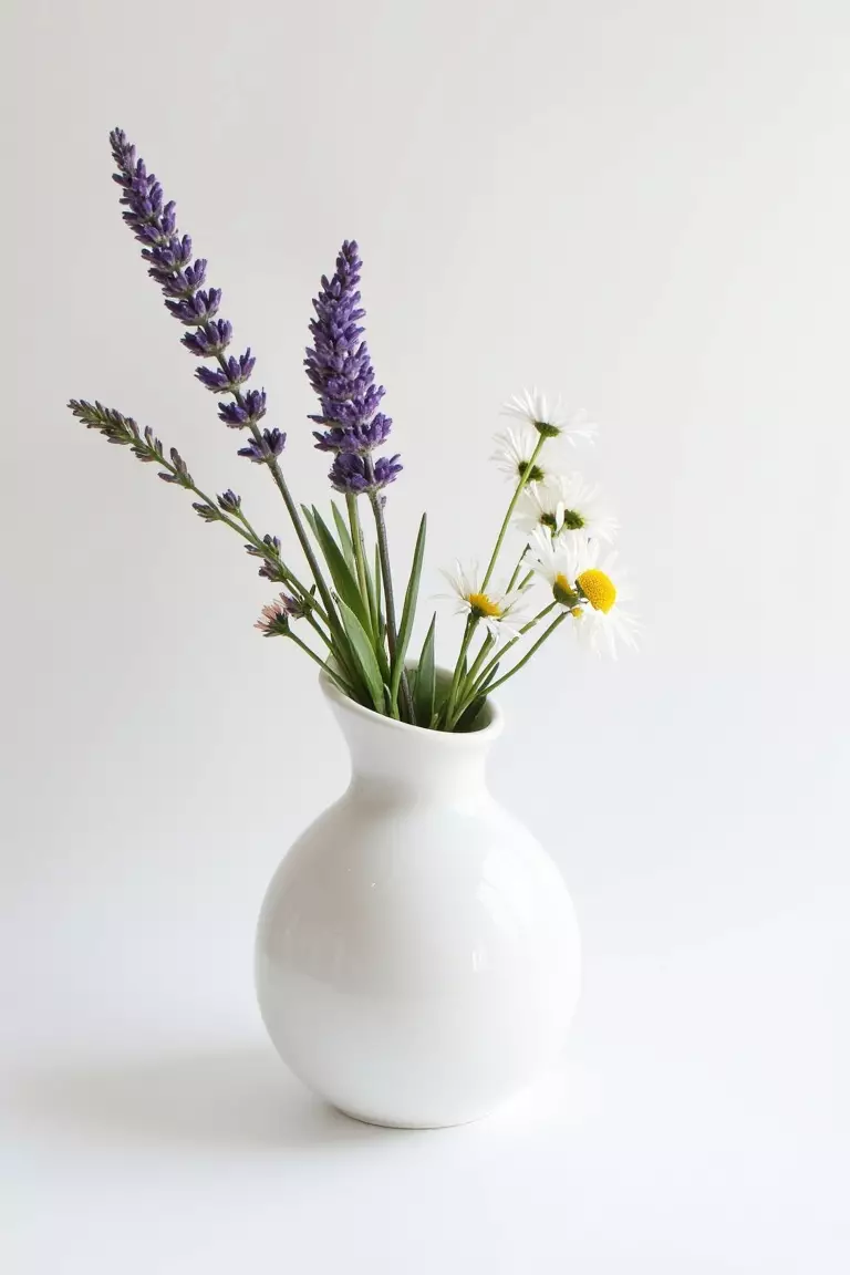 Minimalist White Vase A photo of a sleek white vase containing simple yet striking wildflowers like lavender and daisies for modern decor aesthetics.