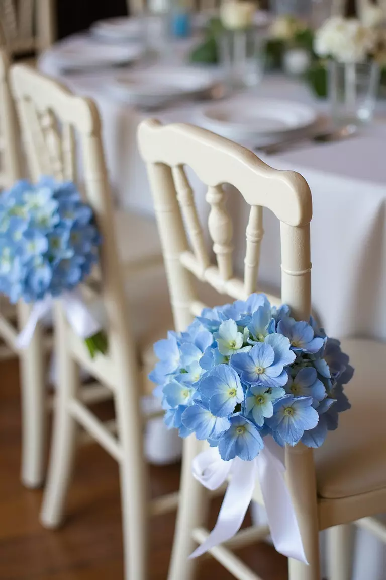 Hydrangea Chair Decorations A professional photo, similar to a photo in a wedding magazine, of reception chairs adorned with small blue hydrangea posies tied with white ribbons.