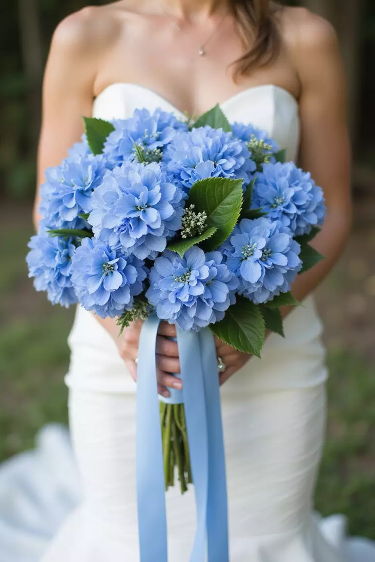 Cascading Hydrangea Bridal Bouquet A professional photo, similar to a photo in a wedding magazine, of a bride holding a dramatic cascading bouquet of blue hydrangeas with greenery and trailing silk ribbons.