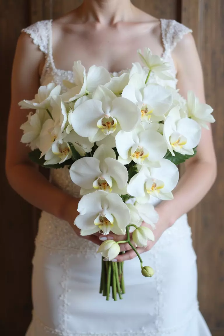 Cascading Orchid Bouquet A professional photo, similar to a photo in a wedding magazine, of a bride holding a dramatic cascading bouquet composed mainly of white Phalaenopsis orchids trailing gracefully downwards.