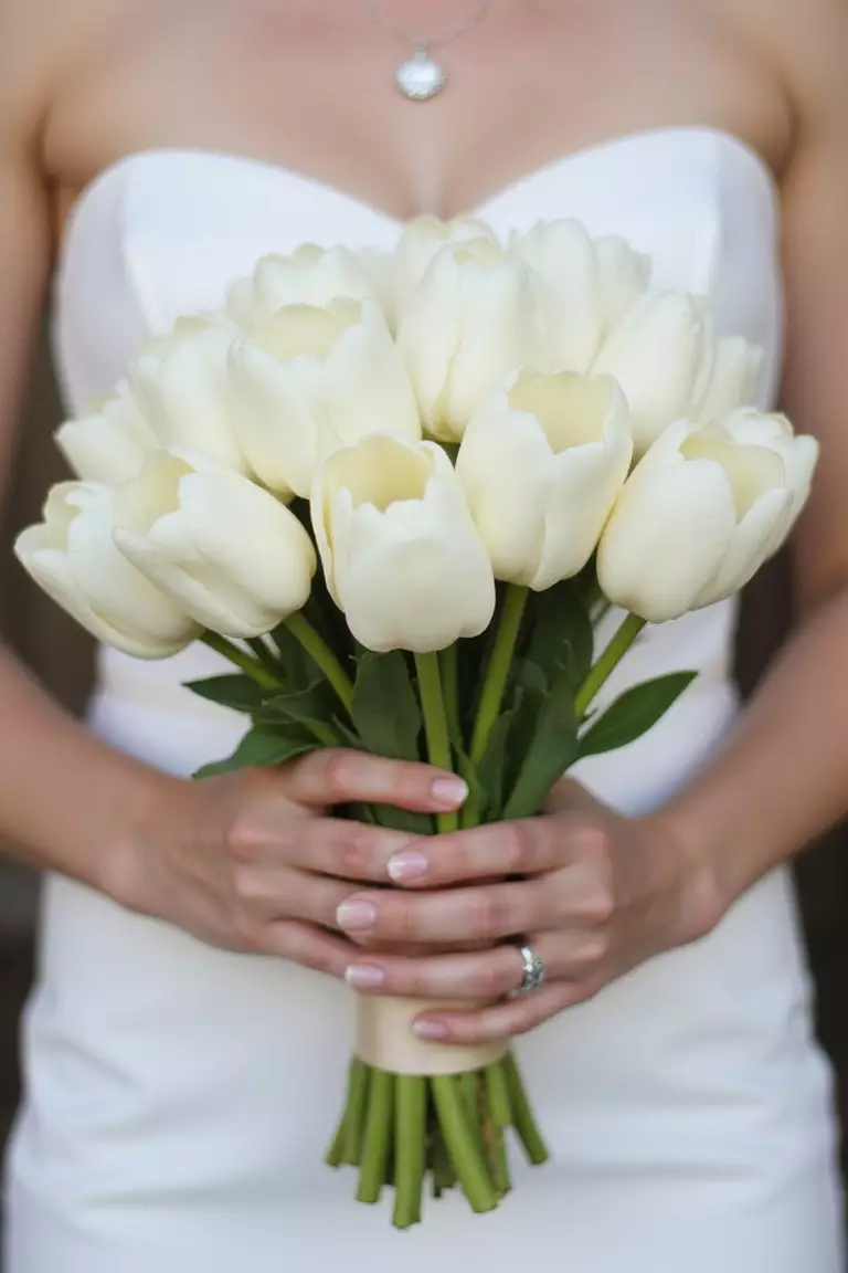 Classic White Tulips A professional photo, similar to a photo in a wedding magazine, of a bride holding a lush bouquet of pure white, closed-cup tulips tied with a simple cream ribbon.