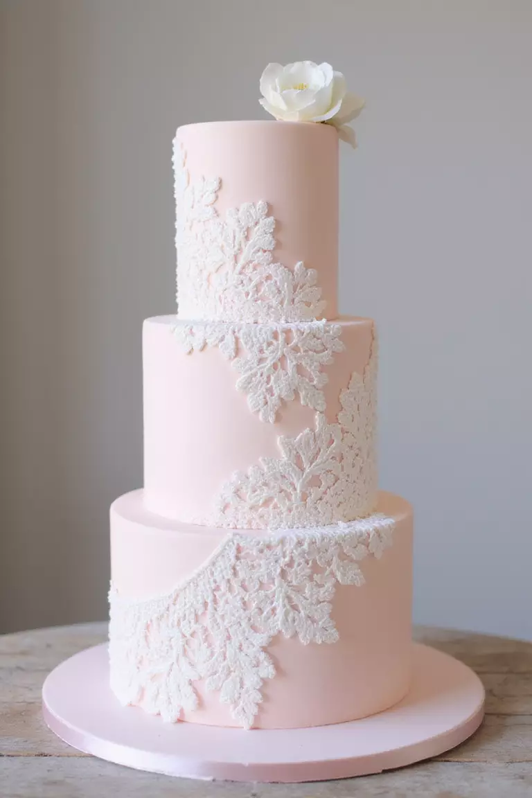 Lace Pattern Cake A professional photo, similar to a photo in a wedding magazine, of a pale pink cake adorned with an intricate white edible lace pattern wrapped around the tier.