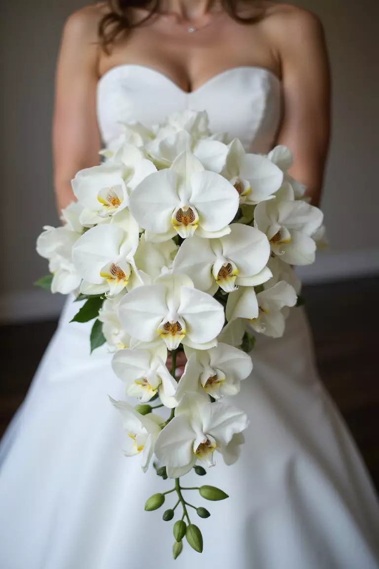 Cascading Orchids A professional photo, similar to a photo in a wedding magazine, of a bride holding a dramatic cascading bouquet featuring white Phalaenopsis orchids tumbling downwards, accented with subtle green leaves.