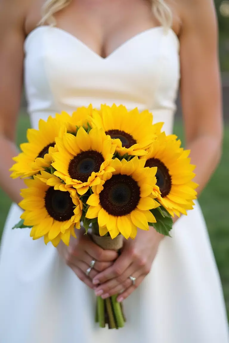 Classic Sunflowers Only A professional photo, similar to a photo in a wedding magazine, of a bride holding a simple, round bouquet composed entirely of large, bright yellow sunflowers with dark centers, tied with burlap ribbon.