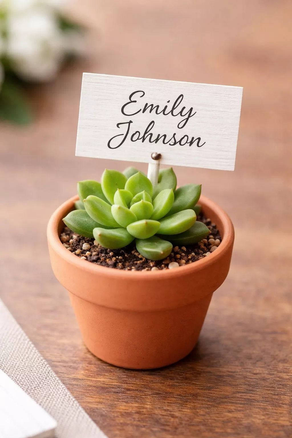 Succulent Place Settings A realistic photo of a mini terracotta pot holding a green succulent, with a small white wooden tag stuck in the soil showing a guest name in black ink.