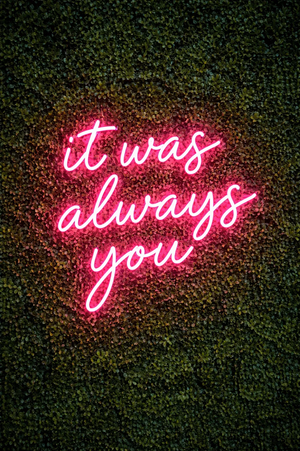 A realistic photo of a bright pink neon sign saying 'it was always you' mounted on a green boxwood hedge wall.