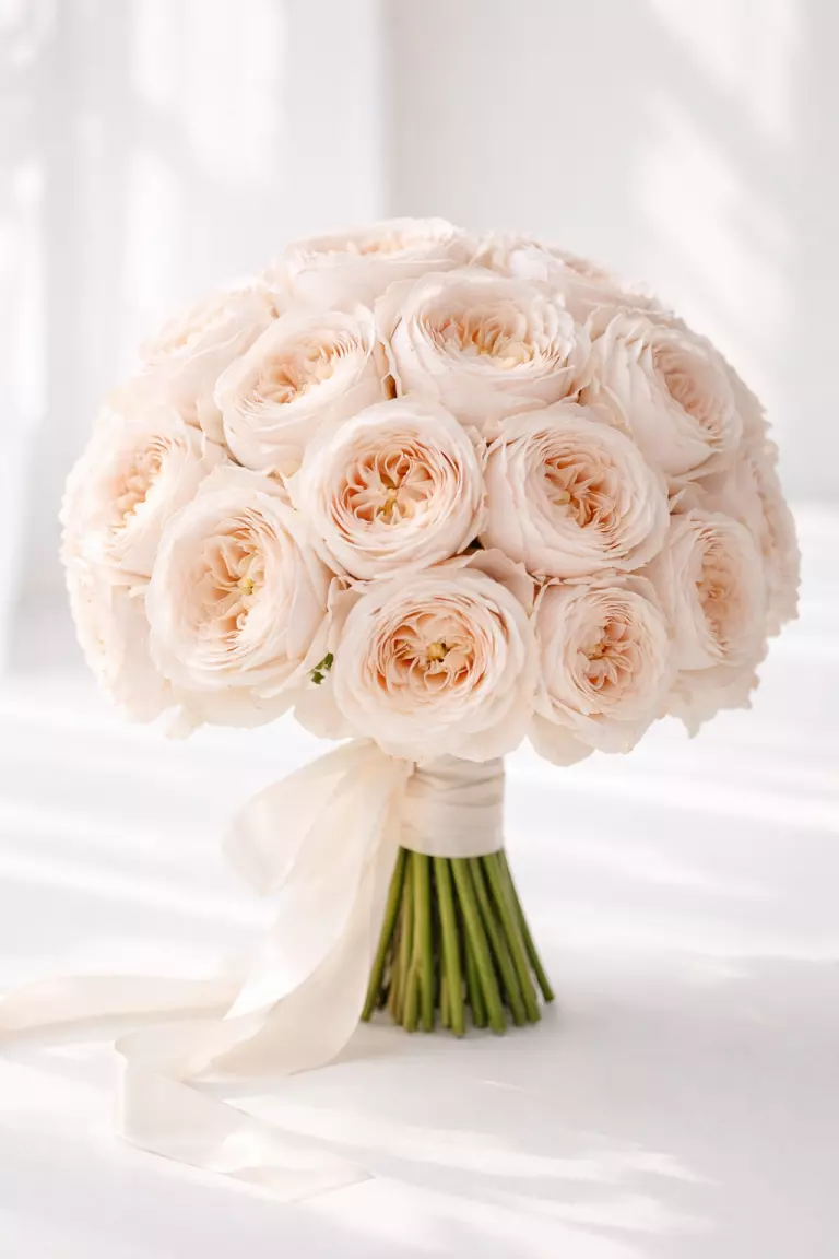 A realistic photo of a tight dome shaped wedding bouquet consisting only of pale blush garden roses with no greenery, wrapped in a thin silk ribbon, captured in a bright studio setting.